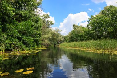 Yaz sahne Nehri üzerinde