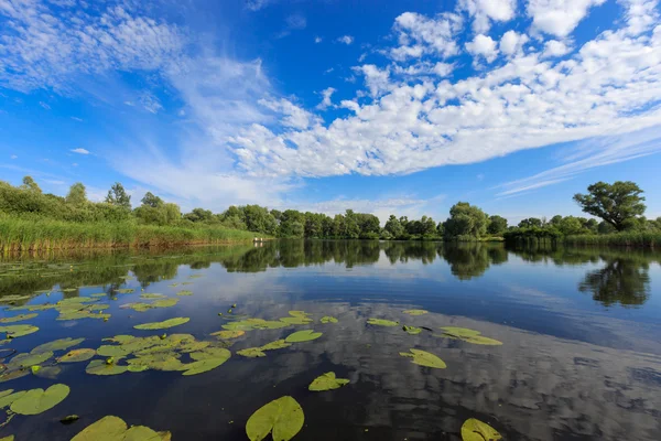 Sommar landskap på sjön — Stockfoto