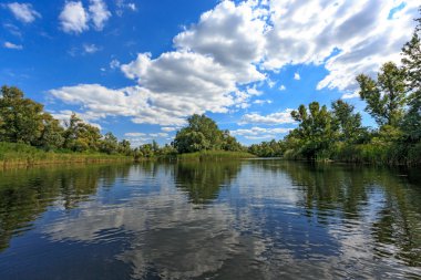 lake Forest sahnede yaz