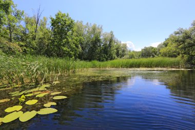 Yaz küçük Nehri üzerinde