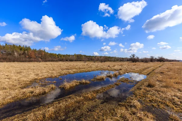 Route de ornières dans la steppe à un beau jour de printemps — Photo