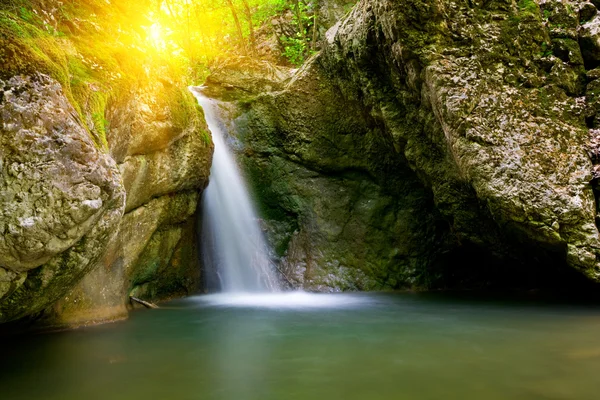 Cachoeira agradável na floresta — Fotografia de Stock