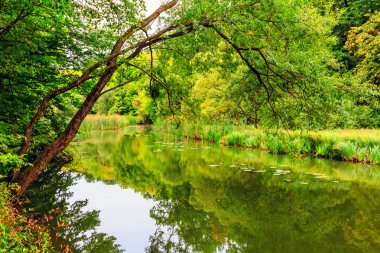 Göl kenarında sonbahar