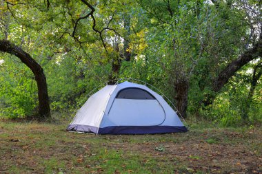 Ormandaki sonbahar çayırında turist çadırı