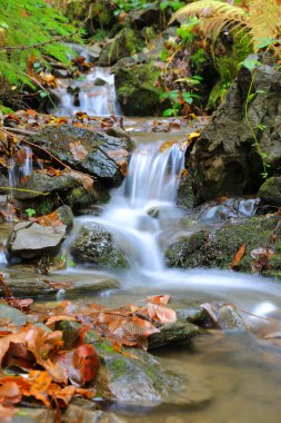 Landscape with small waterfall on mountain brook in autumn forest