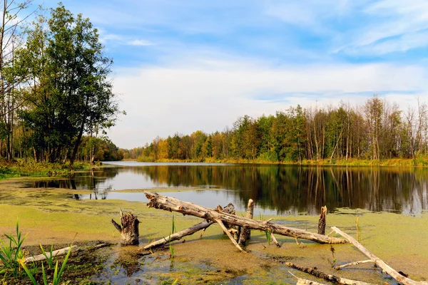 Hösten på sjön — Stockfoto