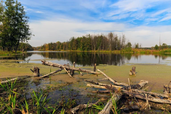 Őszi nap bog — Stock Fotó