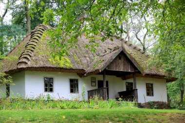 Ormandaki kırsal ev