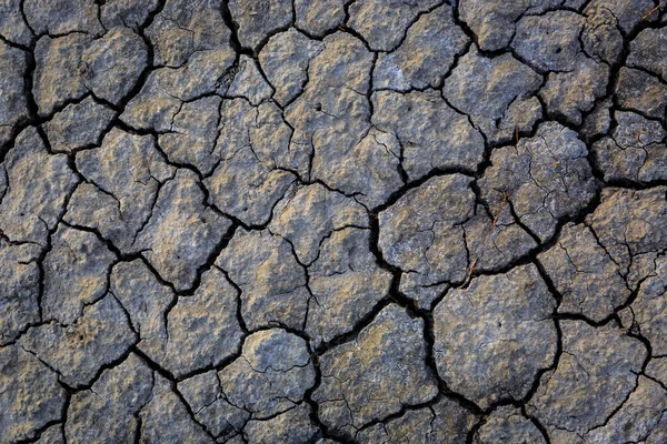 Superficie de tierra agrietada — Foto de Stock