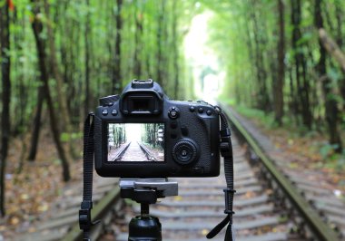 Demiryolu ormandaki DSLR fotoğraf makinesi