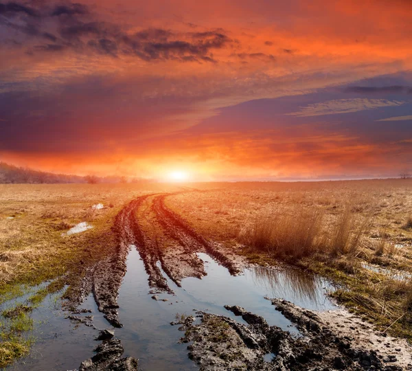 Toprak yol bahar bozkır içinde — Stok fotoğraf