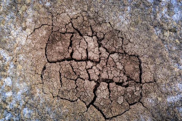 Superficie della terra incrinata — Foto Stock