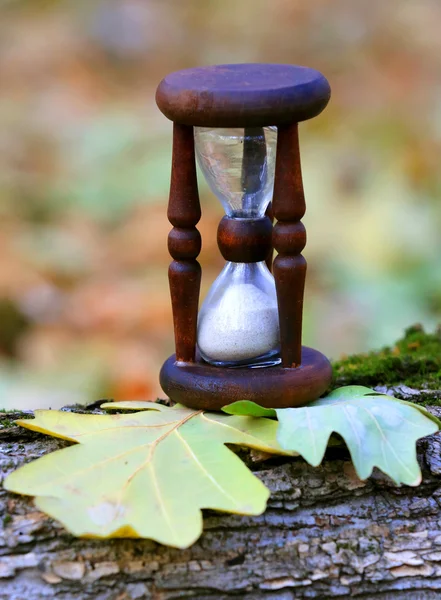 Abstrakte Sanduhr auf Eichenblättern — Stockfoto