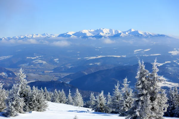 Escena de invierno en montañas — Foto de Stock