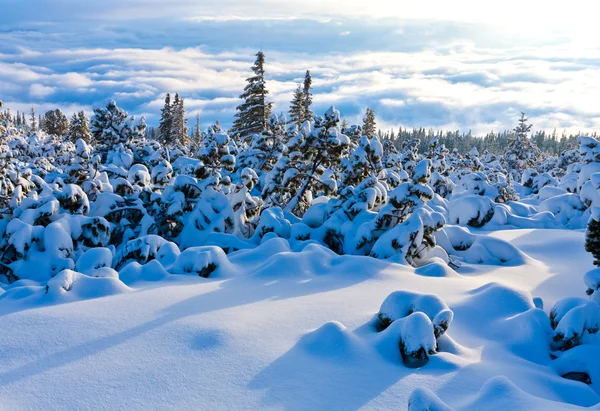 Inverno nas montanhas — Fotografia de Stock