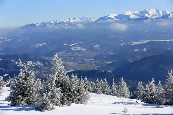 Jolie scène hivernale en montagne — Photo
