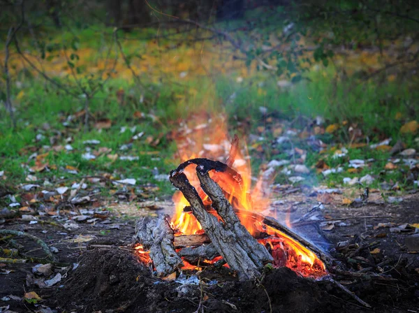 Táborový oheň v lese — Stock fotografie