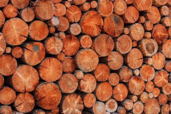 Trä loggar lagring — Stockfoto