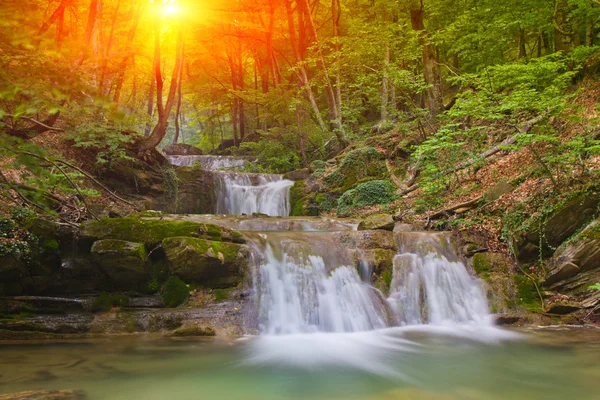 Schöner Wasserfall im grünen Wald — Stockfoto