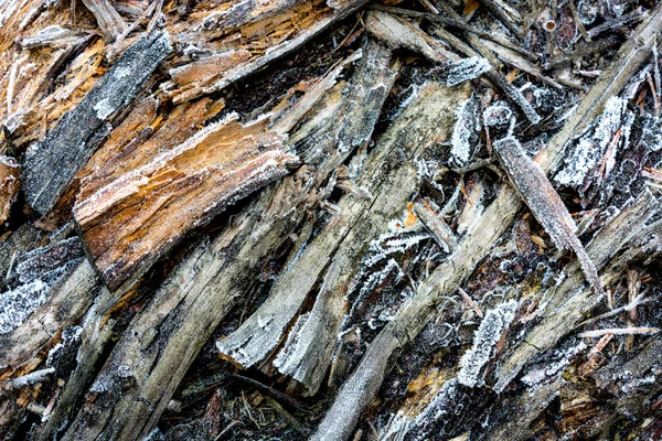 Oude droge houten oppervlak met vorst — Stockfoto