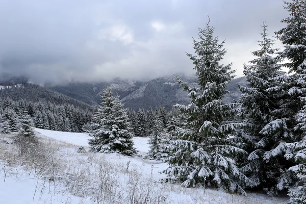 Зимова сцена в горах — стокове фото