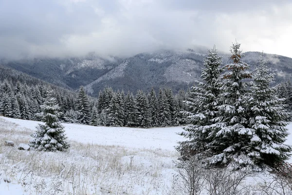 Inverno nas montanhas — Fotografia de Stock