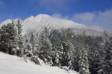 güzel bir akşam gökyüzü