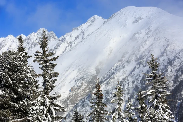 Trevlig kväll sky — Stockfoto