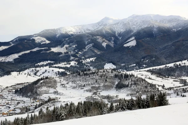 겨울 산에 — 스톡 사진