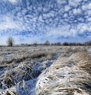 Kış alan güzel gökyüzü altında