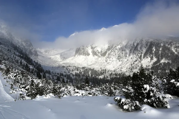 Красивый зимний пейзаж в горах Татры — стоковое фото