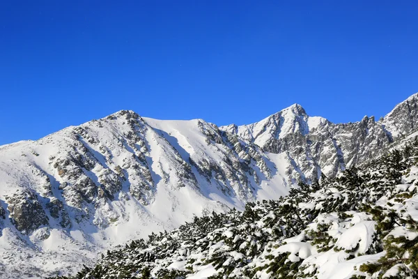 Vinter i Tatrabergen — Stockfoto