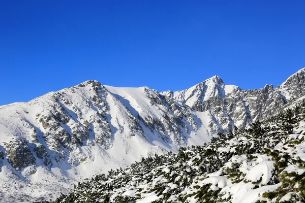 Hiver dans les montagnes Tatra — Photo