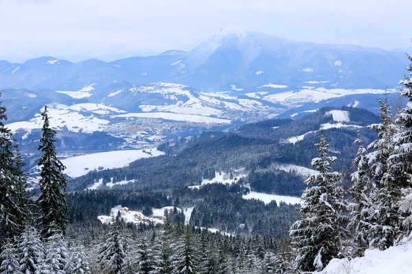 Scena invernale in montagna — Foto Stock