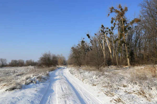 Winter road on meadow — Stock Photo, Image