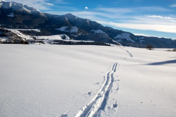 Piste de ski sur prairie — Photo