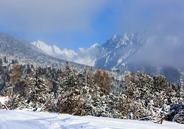 Kışın Tatras güzel manzara, — Stok fotoğraf