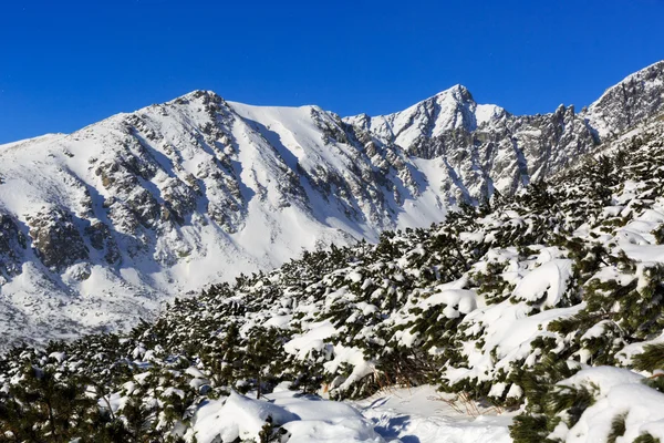 Paesaggio invernale in montagna — Foto Stock