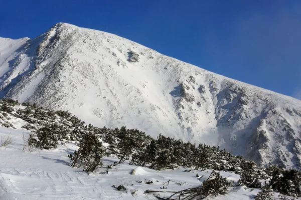 Scena invernale in montagna — Foto Stock