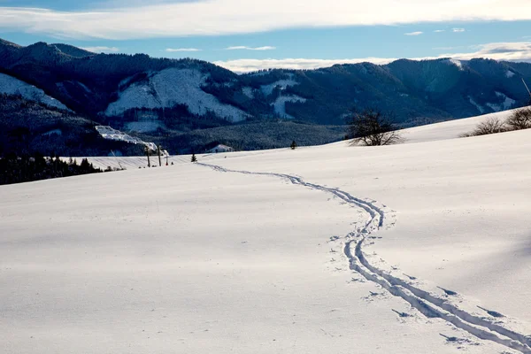 Pista de esquí en el prado de invierno —  Fotos de Stock