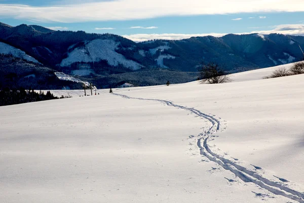 Ski sökvägen på vintern äng — Stockfoto