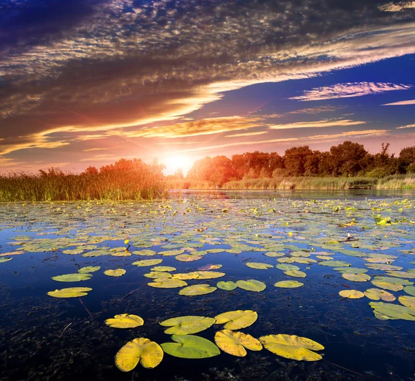 Majestoso pôr do sol sobre o lago — Fotografia de Stock