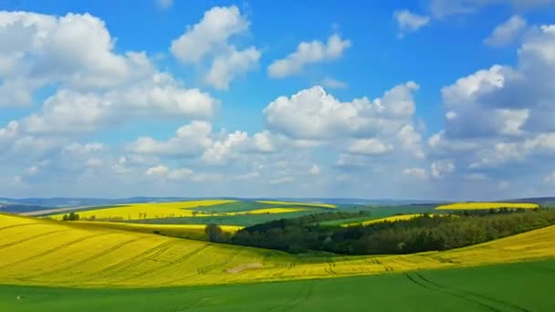 Панорама цветущих полей в Южной Моравии, Чехия — стоковое видео