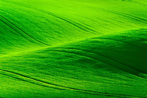 Grüne wellige Hügel in Südmähren — Stockfoto