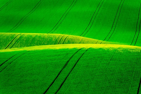 South Moravia'deki / daki yeşil dalgalı tepeler — Stok fotoğraf