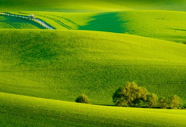 South Moravia'deki / daki yeşil dalgalı tepeler