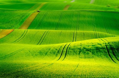 South Moravia'deki / daki yeşil dalgalı tepeler