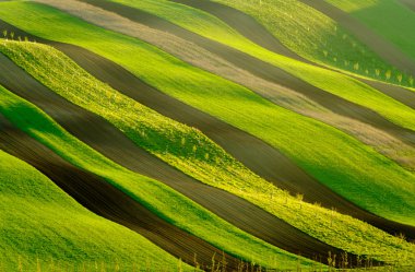 South Moravia'deki / daki yeşil dalgalı tepeler
