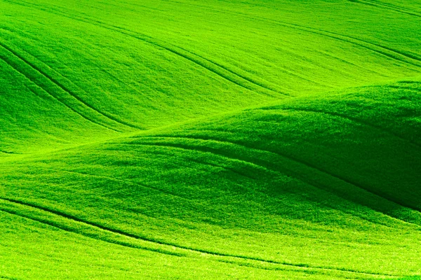 Grüne wellige Hügel in Südmähren — Stockfoto