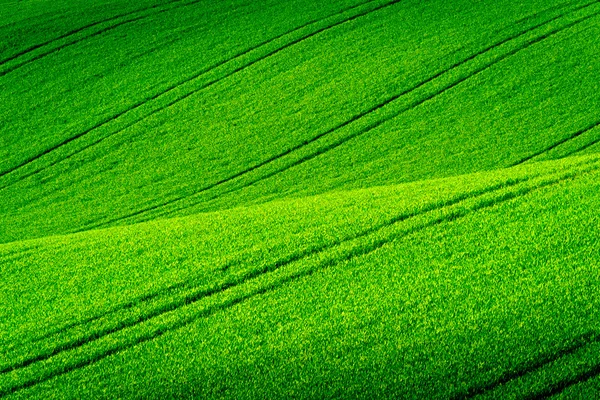 Colinas onduladas verdes en Moravia del Sur —  Fotos de Stock